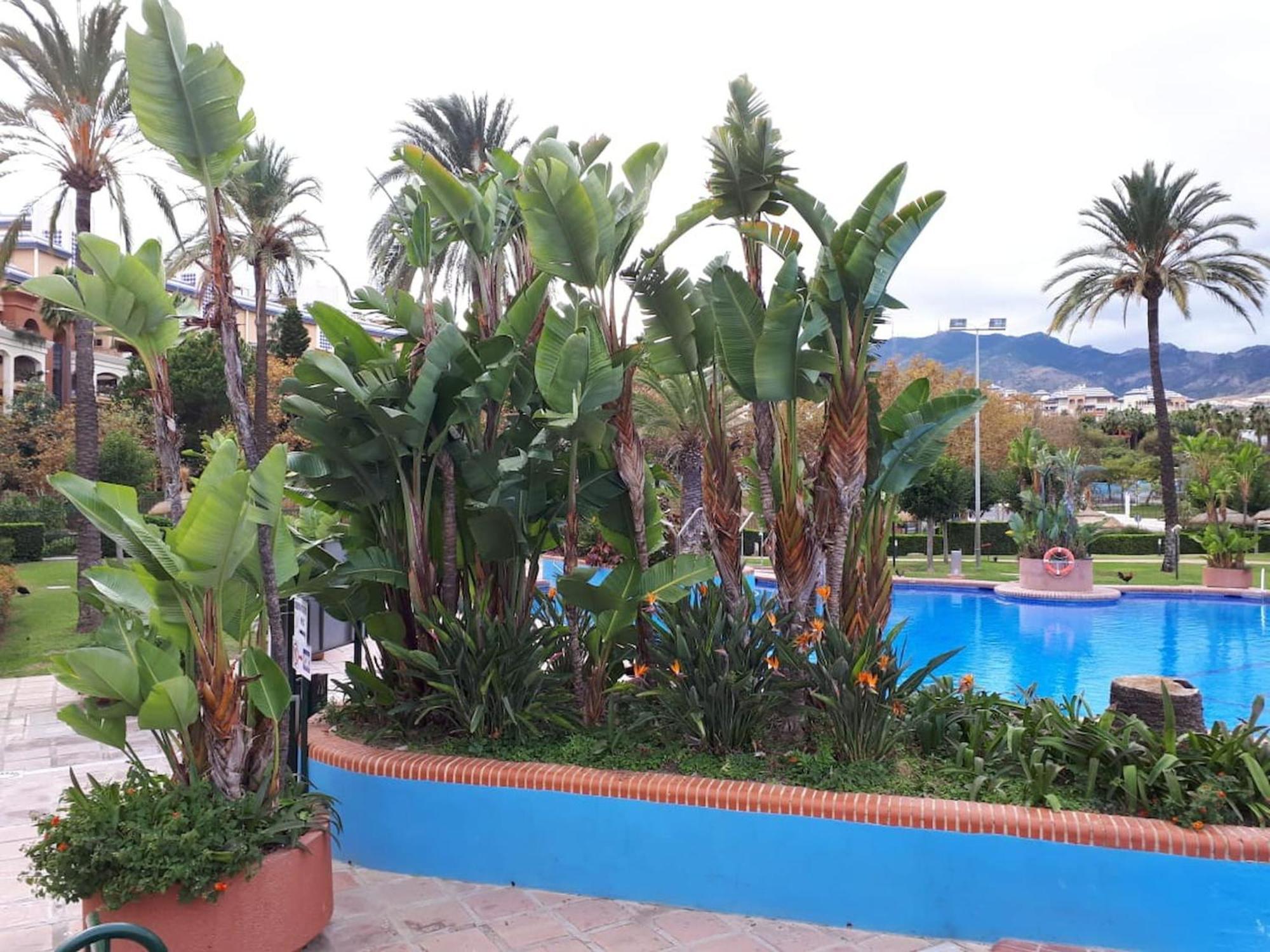 Luxury Sea View With 2 Terraces * Benalmadena